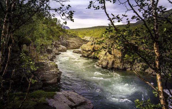 Nature, river, canyon