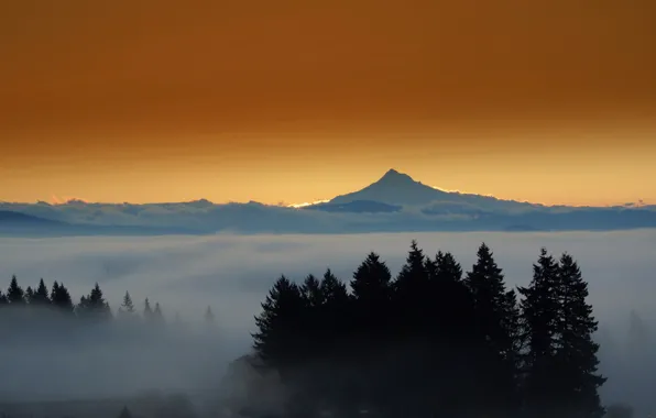 Picture landscape, sunset, fog