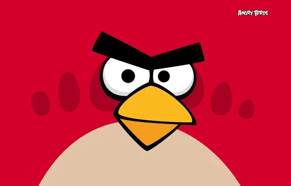 Picture bird, the game, birds, angry birds