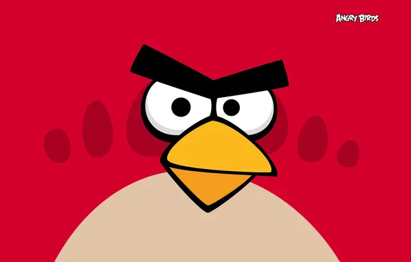 Bird, the game, birds, angry birds