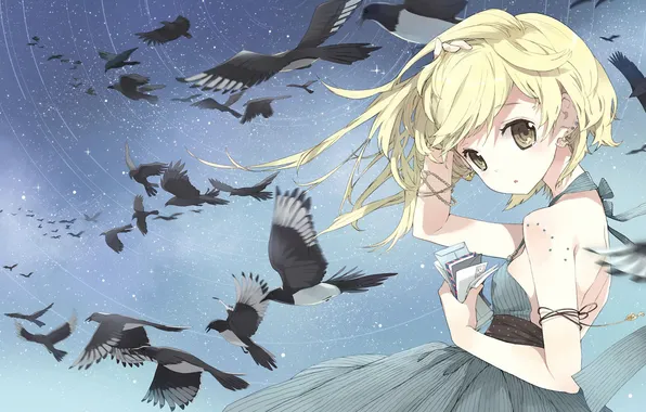 Picture girl, stars, birds, the wind, dress, letters