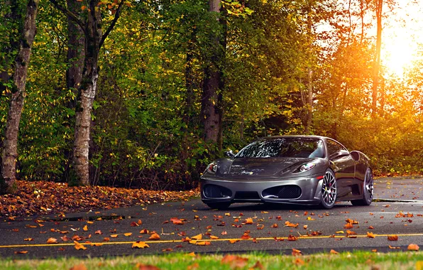 Picture Ferrari, Green, Sun, Autumn, Tuning, asphalt, Silver, 430