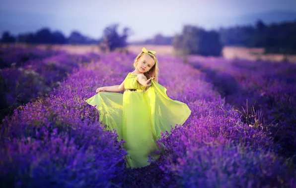 Flowers, nature, girl, lavender field