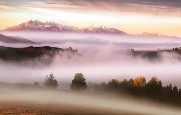 Autumn, mountains, fog, morning, Carpathians