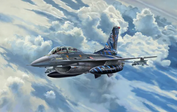 Fighter, Denmark, Lockheed Martin, F-16D Fighting Falcon, Lockheed Martin F-16D Tigermeet