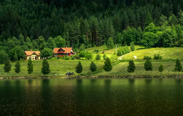 Forest, Home, Norway, Field, Nature, River