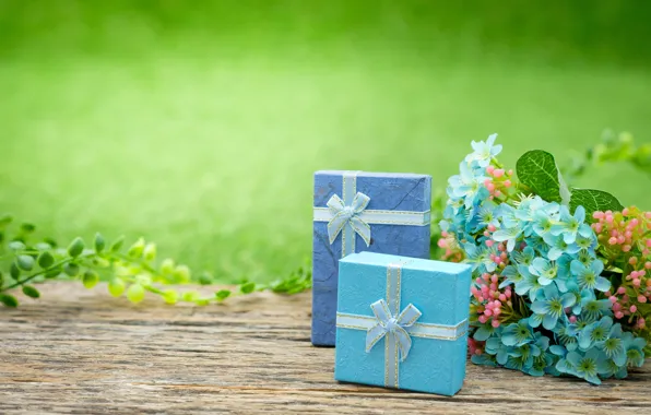 Flowers, gift, Holiday