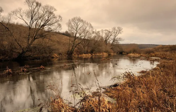 Autumn, landscape, nature, river, morning