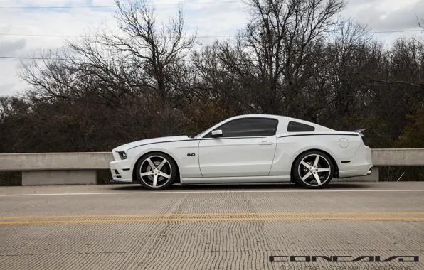 Picture machine, auto, trees, Mustang, Ford, auto, Black, wheel