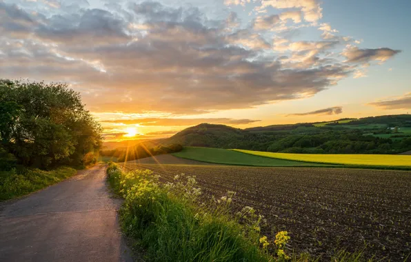 Road, field, sunset, Germany
