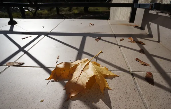 Sheet, floor, shadows, maple, twilight