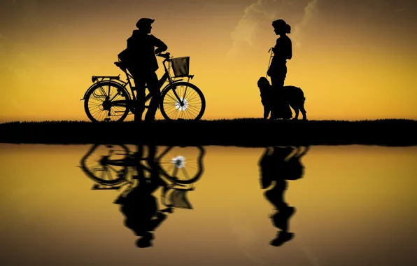 Picture girl, the sun, bike, dog, guy, silhouettes