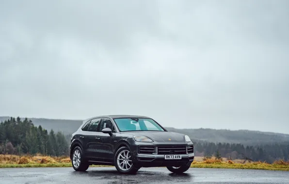 Porsche, Cayenne, Porsche Cayenne E-Hybrid