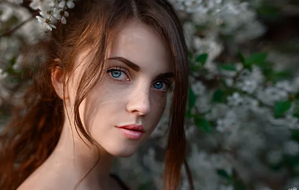 Beauty, redhead, look