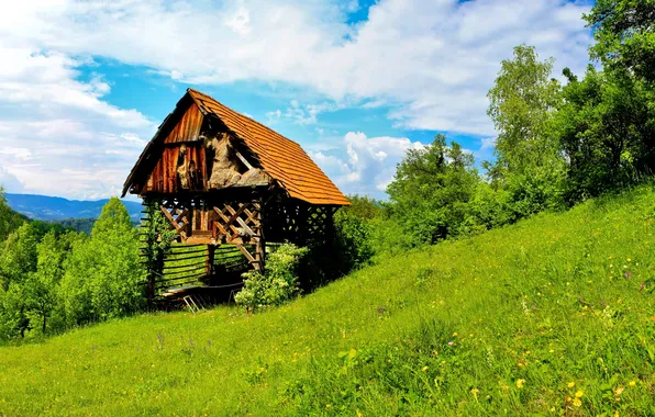 Grass, landscape, nature, house, Slovenia, Trbovlje