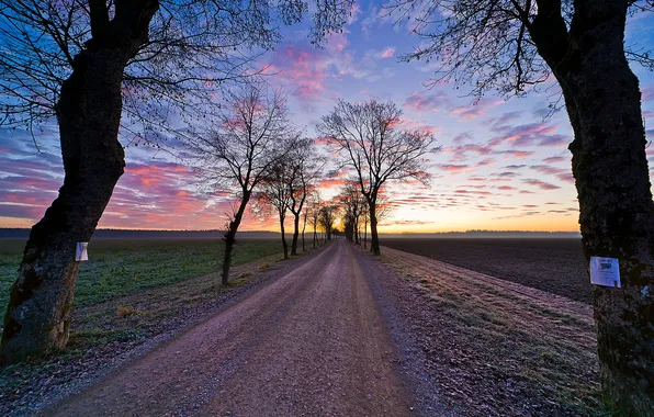 Road, the sky, grass, clouds, trees, landscape, sunset, nature