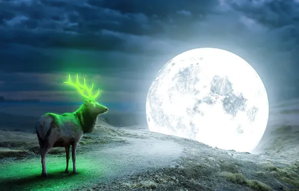 Picture Night, The moon, Deer, Moon, Fantasy, Reno, Luna, Reindeer