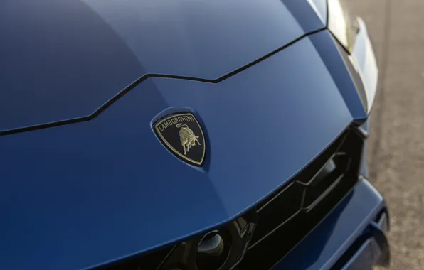 Lamborghini, logo, Urus, Hennessey Lamborghini Urus