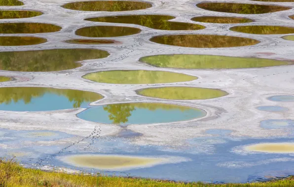 Picture Canada, Okanagan valley, spotted lake