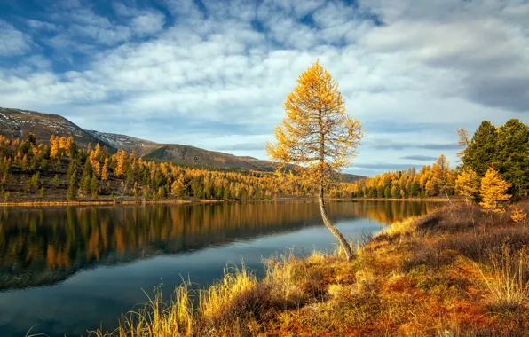 Picture autumn, landscape, mountains, nature, lake, Kazakhstan, Kok-Kol