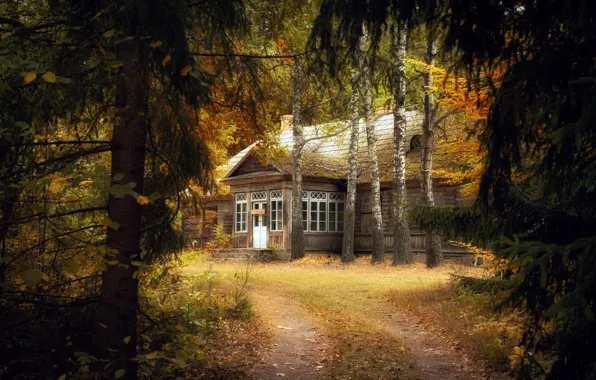 Autumn, forest, nature, house