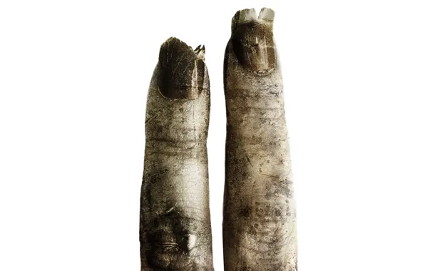 Cinema, movie, film, finger, SAW, SAW 2