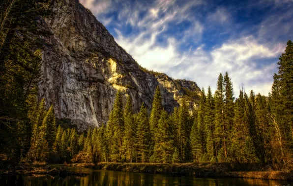 Forest, mountains, USA, California, Yosemite national Park, Yosemite National Park