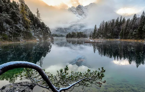 Winter, frost, forest, snow, mountains, branches, fog, lake