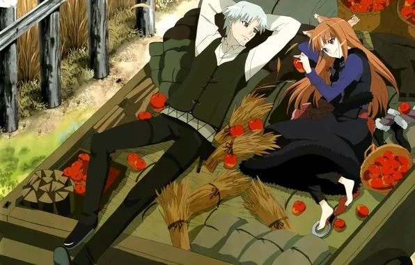 Basket, apples, wagon, two, journey, bags, spice and wolf, horo