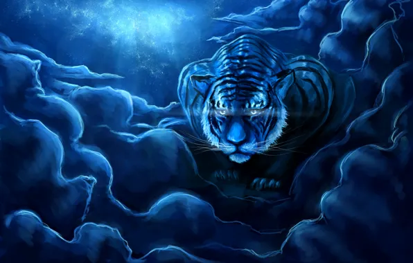 Picture the sky, night, tiger, art, zepher234