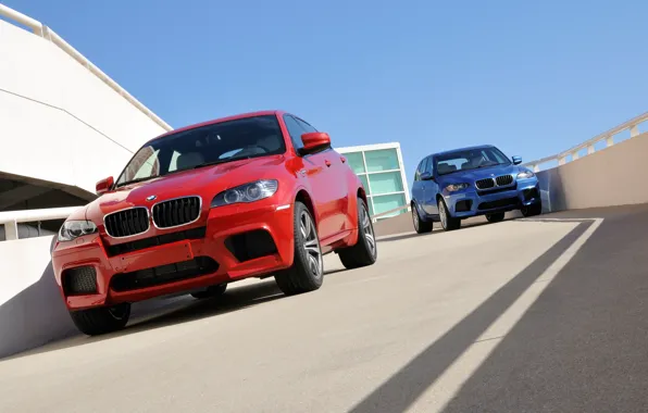 Blue, red, BMW, BMW, red, blue, crossover