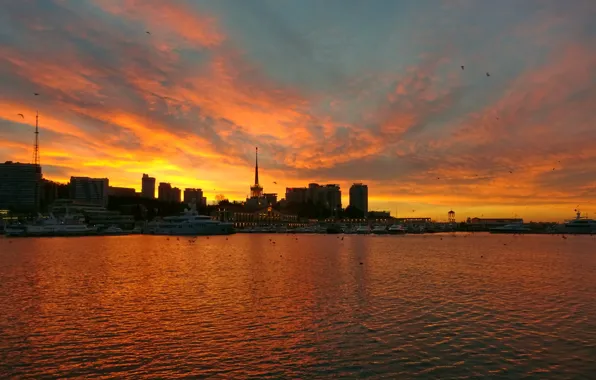 Sochi, dawn, The black sea