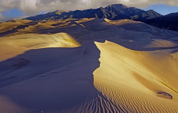 Picture mountains, desert, Colorado, USA, Great Sand Dunes National Park