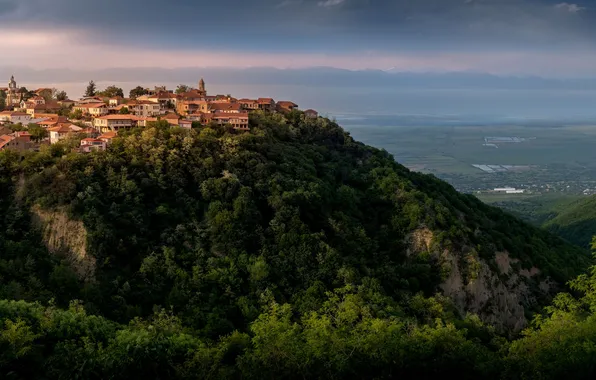 Picture Georgia, Kakhetia, Sighnaghi, Nadezhda Demkina, Alazani Valley