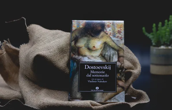 Chest, the dark background, woman, figure, book, still life, burlap, Dostoevsky