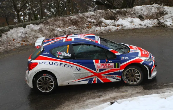 Picture Winter, Vinyl, Machine, Peugeot, UK, Peugeot, WRC, S2000