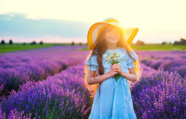 Field, summer, the sky, the sun, rays, light, joy, sunset