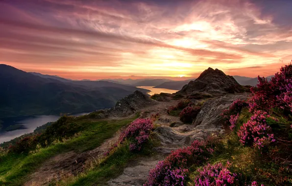 The sky, grass, flowers, mountains, river, stones, Scotland, glow