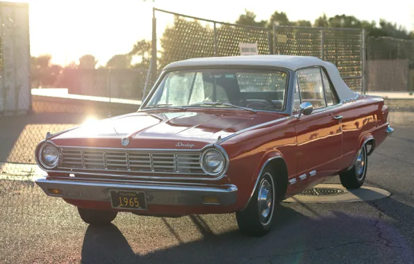 Dodge, classic, 1965, the front