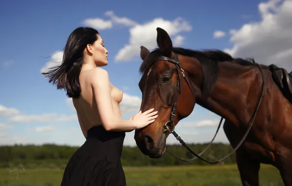 Chest, the sun, landscape, sexy, pose, model, horse, body