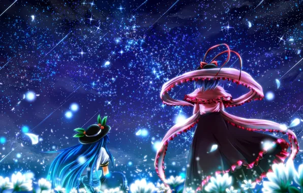 Picture the sky, stars, flowers, night, girls, hat, art, touhou