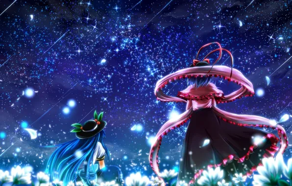 The sky, stars, flowers, night, girls, hat, art, touhou