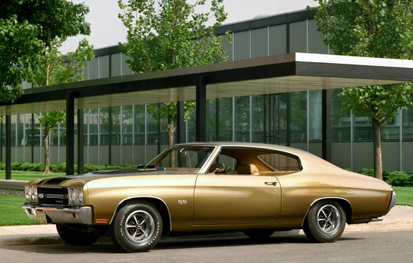 Picture car, 1970, Chevelle SS