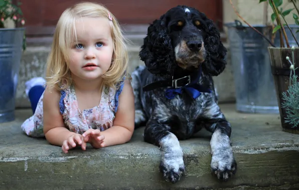 Picture dog, girl, friends, Spaniel