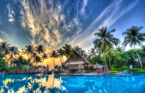 The sky, clouds, palm trees, interior, pool, exterior, pool.