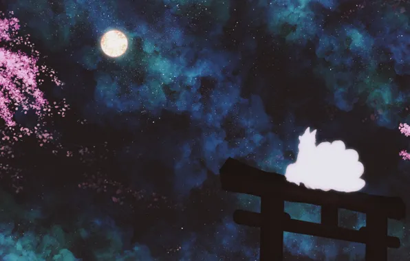 Night, the moon, Sakura, fantasy, Fox, nine-tailed