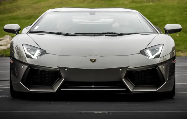 Picture Lamborghini, Front, LP700-4, Aventador, Silver