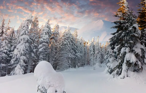 Picture winter, forest, clouds, snow, mountains, the snow, tree