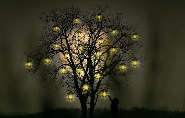 Night, lamp, tree