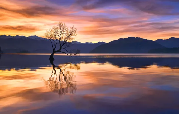 Picture reflection, sunset, mountains, lake, tree, the evening, New Zealand